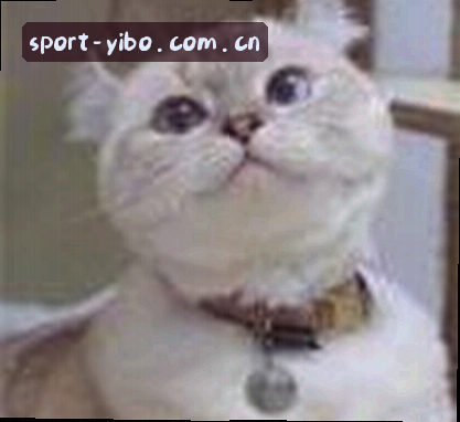 赵敏